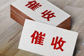 防城港防城港的要账公司在催收过程中的策略和技巧有哪些？